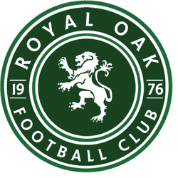 ROFC 2010 Green team badge