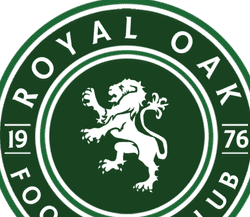 ROFC 2013 Green team badge