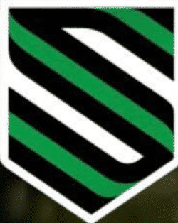 Sagesse 2008 team badge