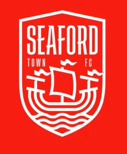 Seaford Town Ladies First team badge