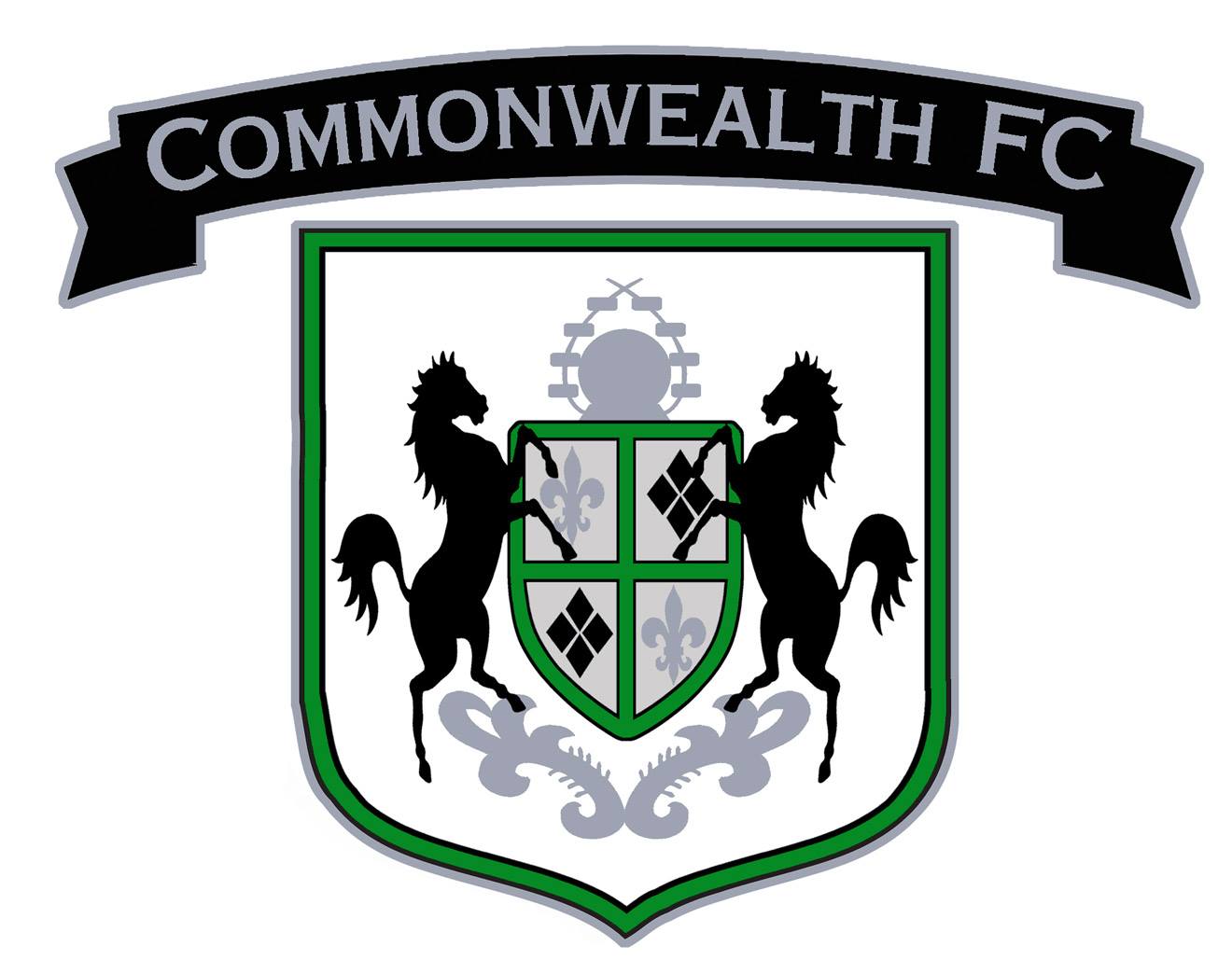 Select -Commonwealth team badge