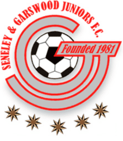 Seneley & Garswood U14 Eagles team badge