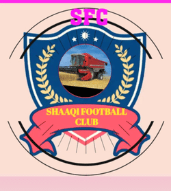 SHAAQI F.C ? team badge