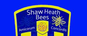Shaw Heath Bees