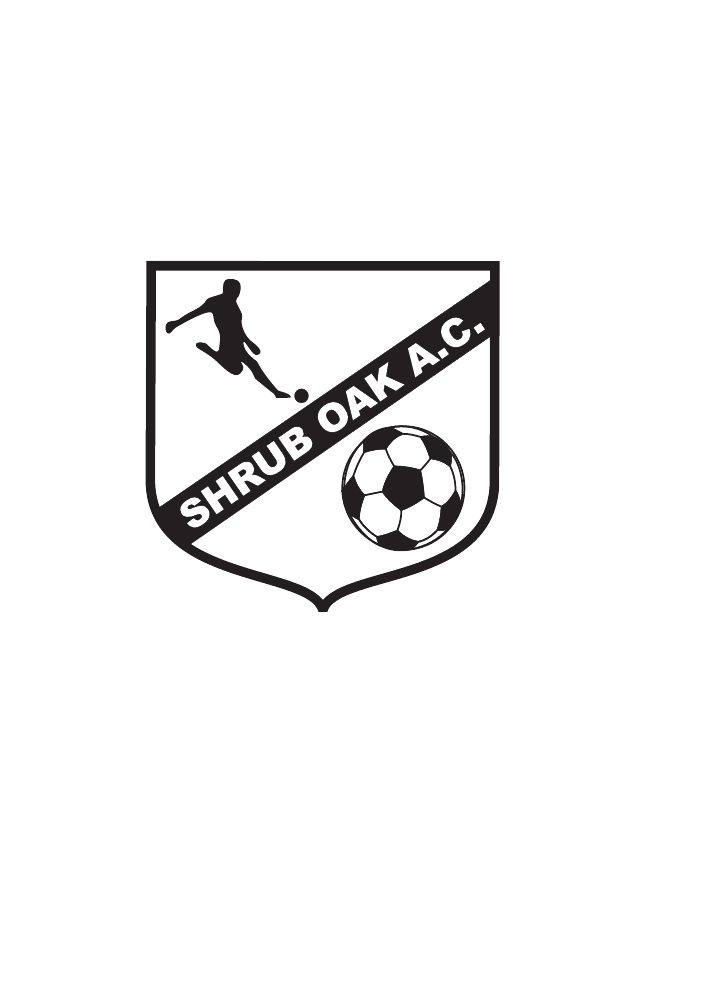 Shrub Oak team badge