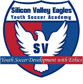 Silicon Valley Eagles Youth Soccer team badge