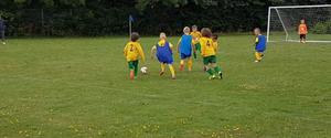 Under 7 Football Teams Directory | TeamStats Directory