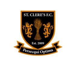 St Clere's Y U14 Tigers team badge