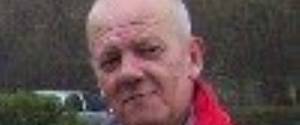 Stephen Comins