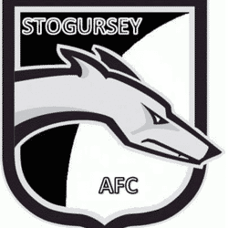 Stogursey First - PREMIER DIVISION team badge