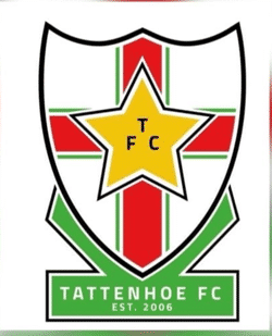 Tattenhoe Reds - Division 1 U13 team badge