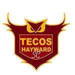 Tecos Hayward SC team badge