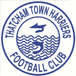 Thatcham Town Harriers U15's team badge