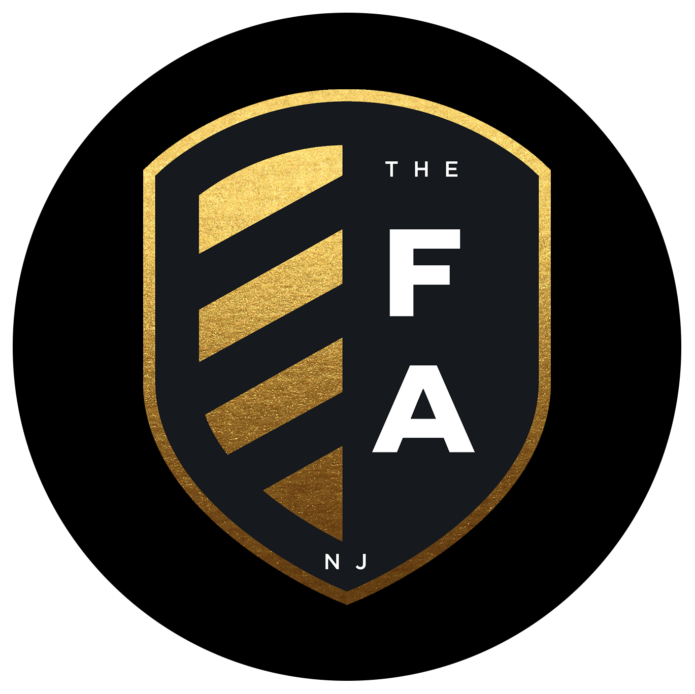 The Football Academy NJ team badge