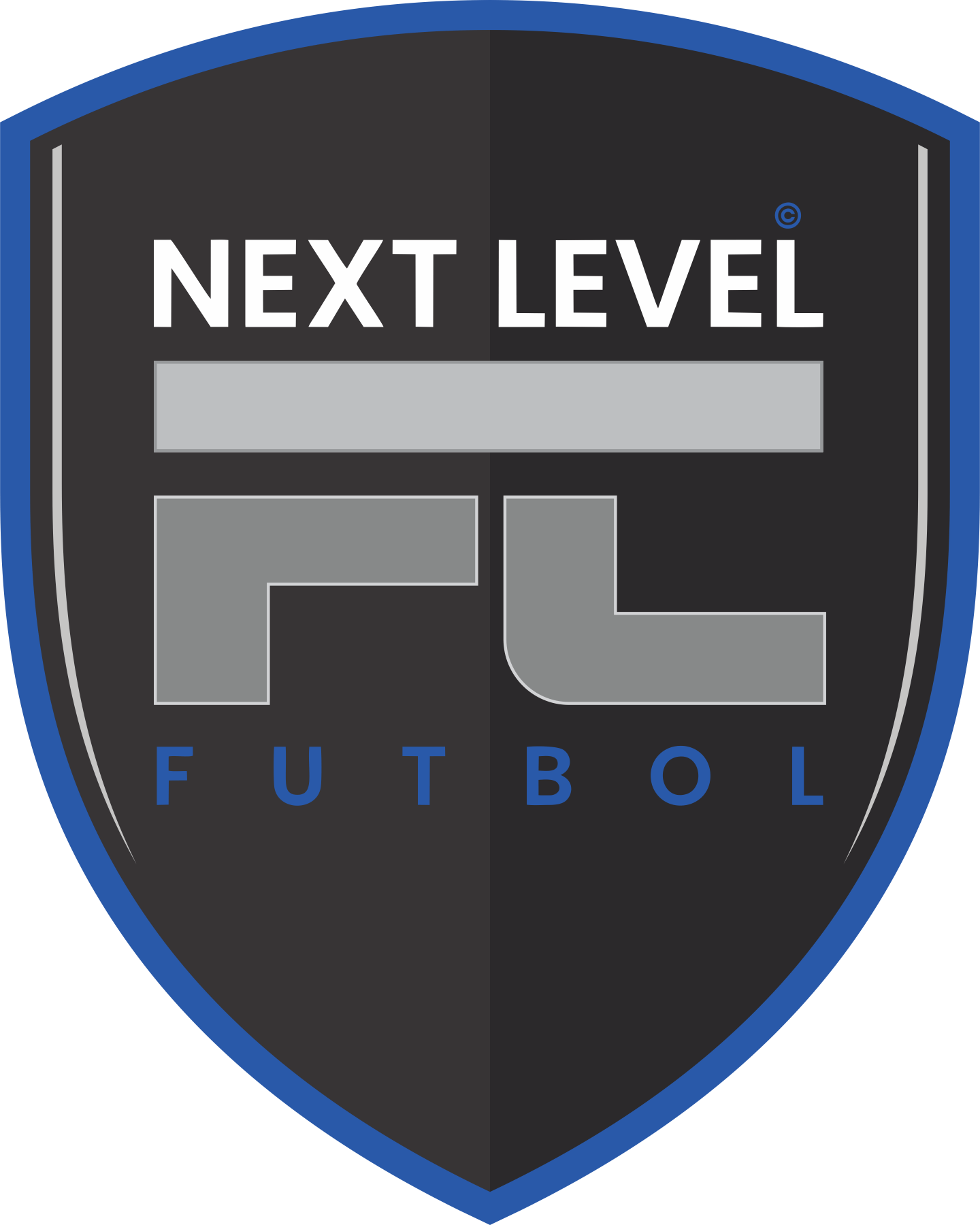 The Next Level FC team badge