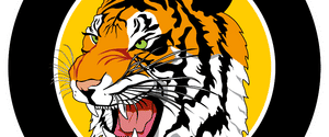 Tigers Black U14