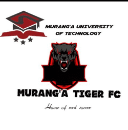 Tigers FC team badge