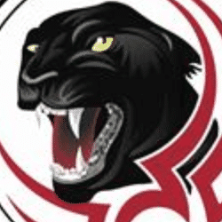 Tilehurst Panthers U18 Girls team badge