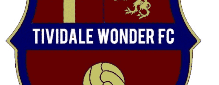 Tividale Wonder - Football team photo