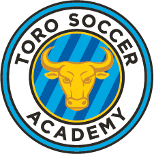 Toro Soccer Academy team badge