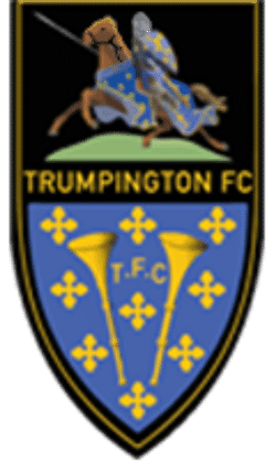 Trumpington U14 Kings - U14 Stanley team badge