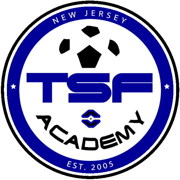 TSF Academy team badge