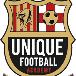 Unique FC U7 team badge