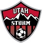 Utah Storm team badge