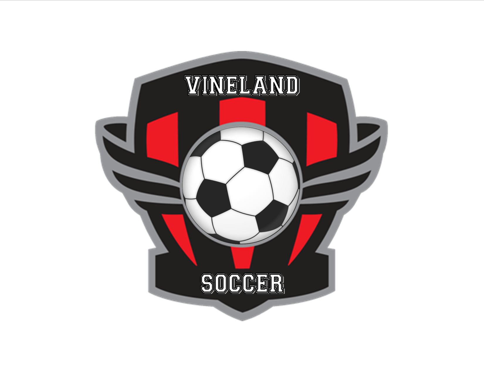 Vineland SA team badge