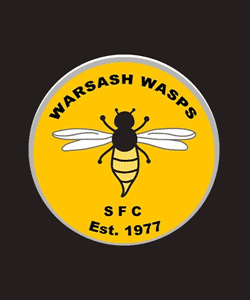 Warsash Wasps - Premier team badge
