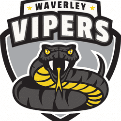 Waverley Vipers team badge