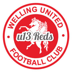 Welling Utd U13 Reds team badge