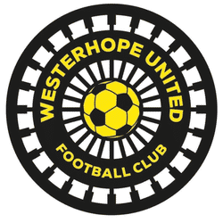 Westerhope United U12 Silvers team badge