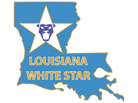 White Star Soccer Academy team badge