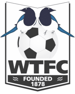 Wimborne Town FC U16 Girls team badge
