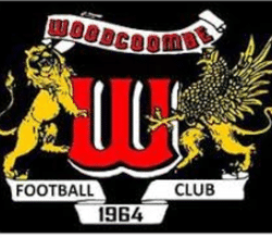 Woodcombe Youth United U8s team badge