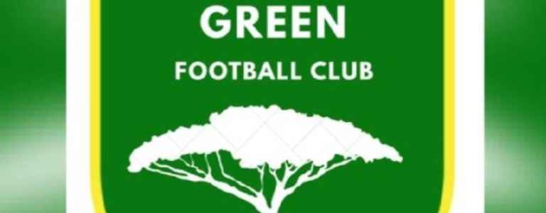 Woodcote Green FC team photo