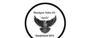 Woodgate Valley FC