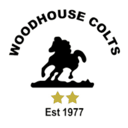 Woodhouse Colts - Macron Store Nottingham Division 1 East team badge
