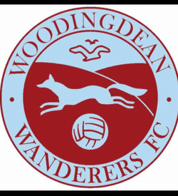 Woodingdean Wanderers Blue U11 team badge