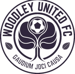 Woodley United U12 Cyclones team badge