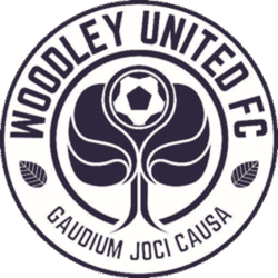 Woodley United U9 Cyclones - Football team badge