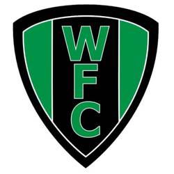 Woodman Inn - WDSL Division Four team badge