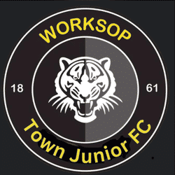 Worksop Town Tigers U10s team badge