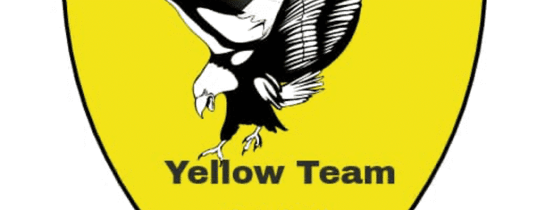 Yellow Team team photo