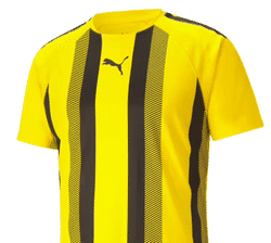 Zwart-Geel team badge